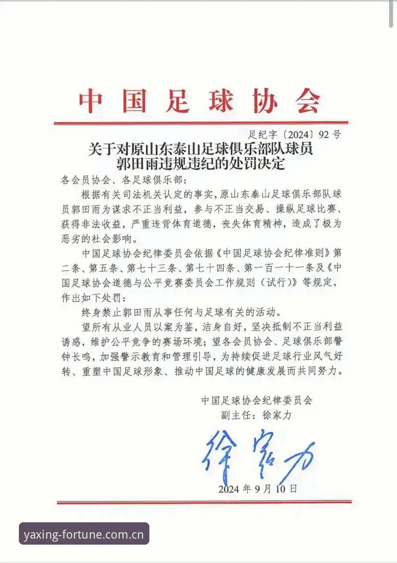 亚星官网最新版攻略 中国足协第三批禁足名单深度评测:65人受罚背后的行业生态剖析